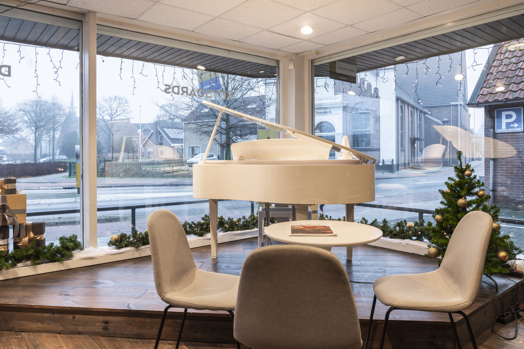 Witte vleugel bij raam in Wezep